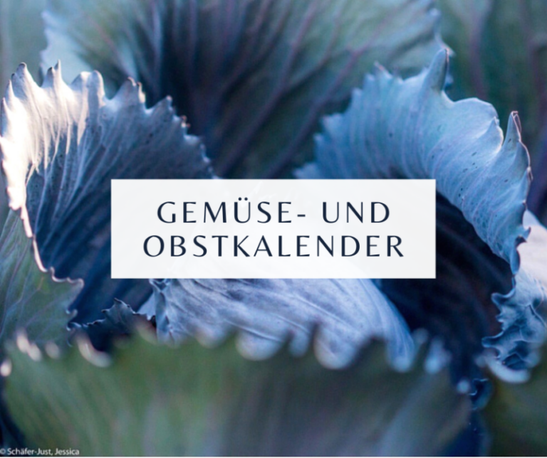 Saisonaler Gemüse- und Obstkalender: Regional einkaufen & frisch genießen