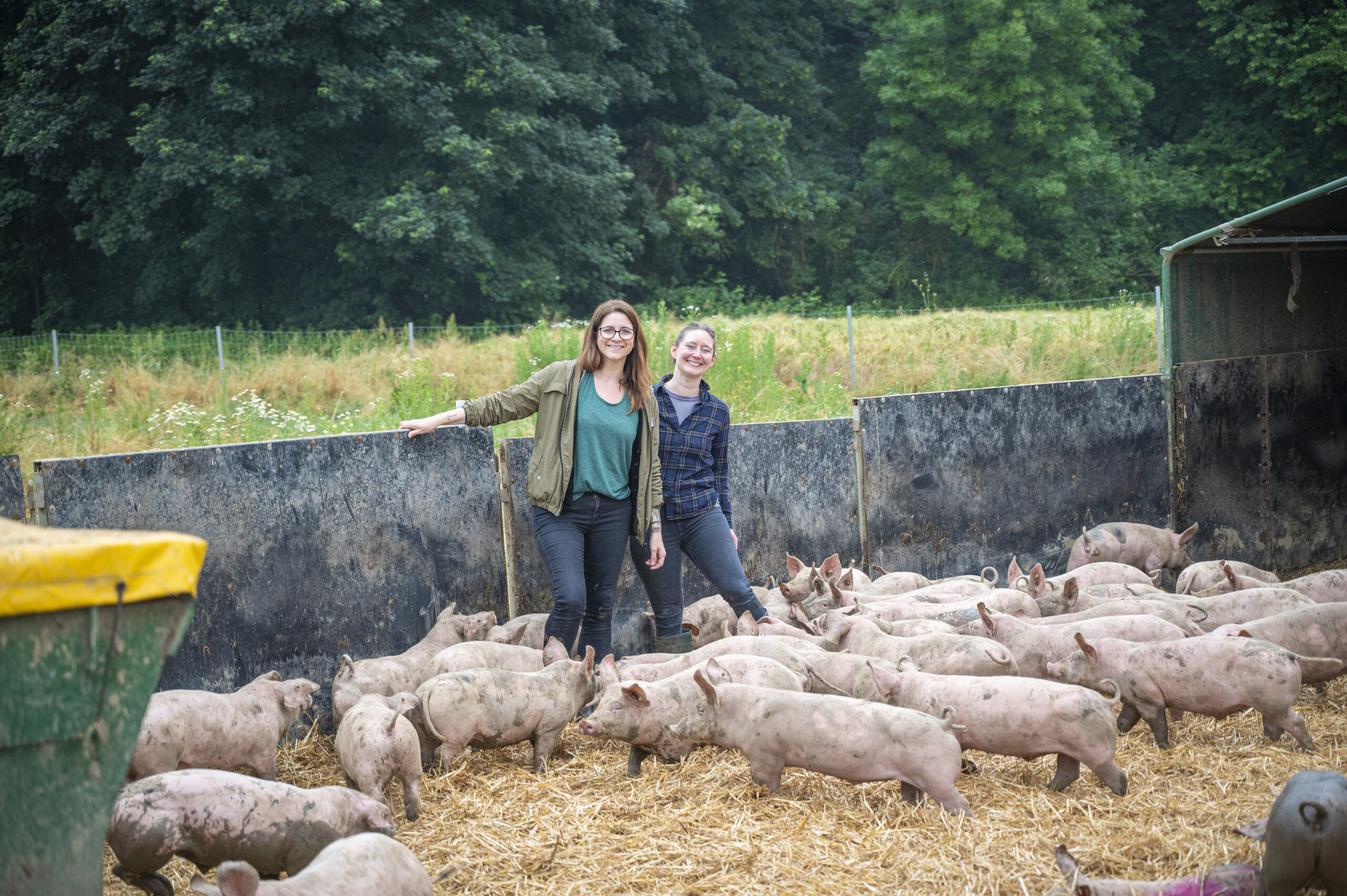 Zwei Personen stehen lächelnd in einem Freigehege voller Ferkel, mit Bäumen im Hintergrund.