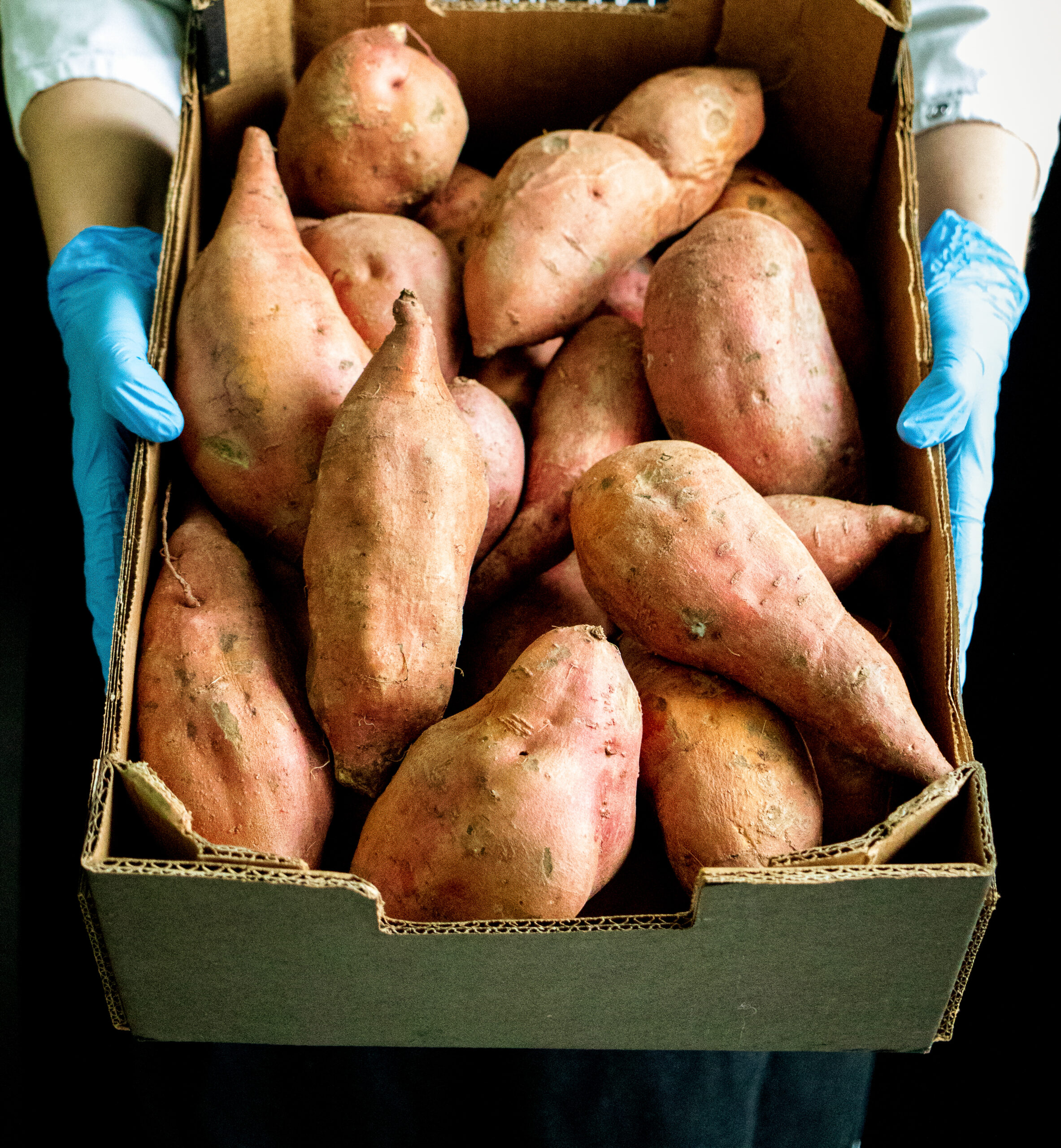 Süßkartoffel-Curry_2 Süßkartoffel-Curry_2