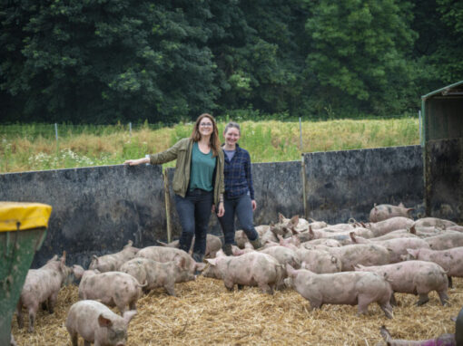 Ruhrtaler Freilandschweine: Besuch auf dem Hof im Brahm in Essen und warum diese Haltung so besonders ist