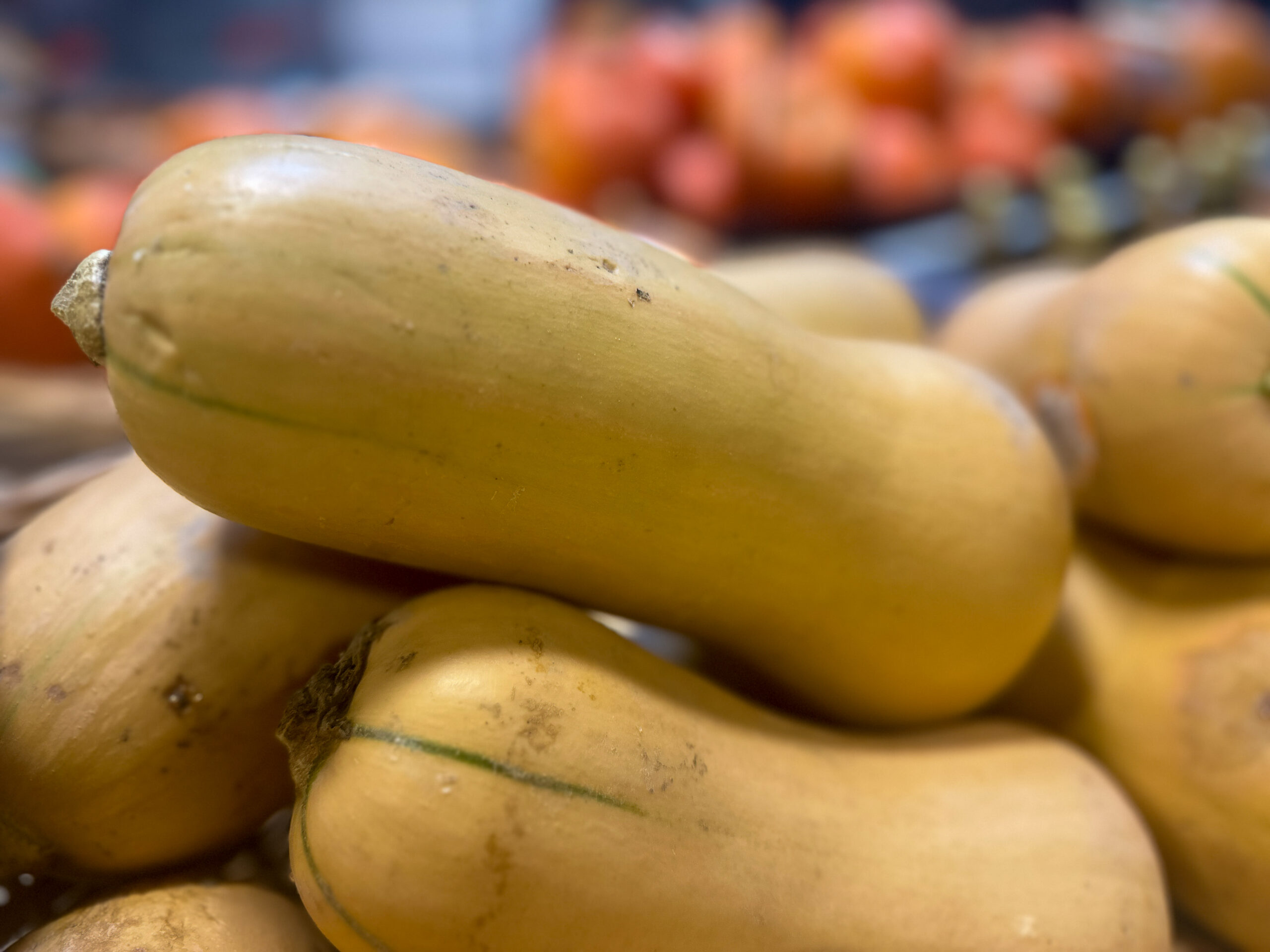 Kürbisse_4 Kürbisse_4