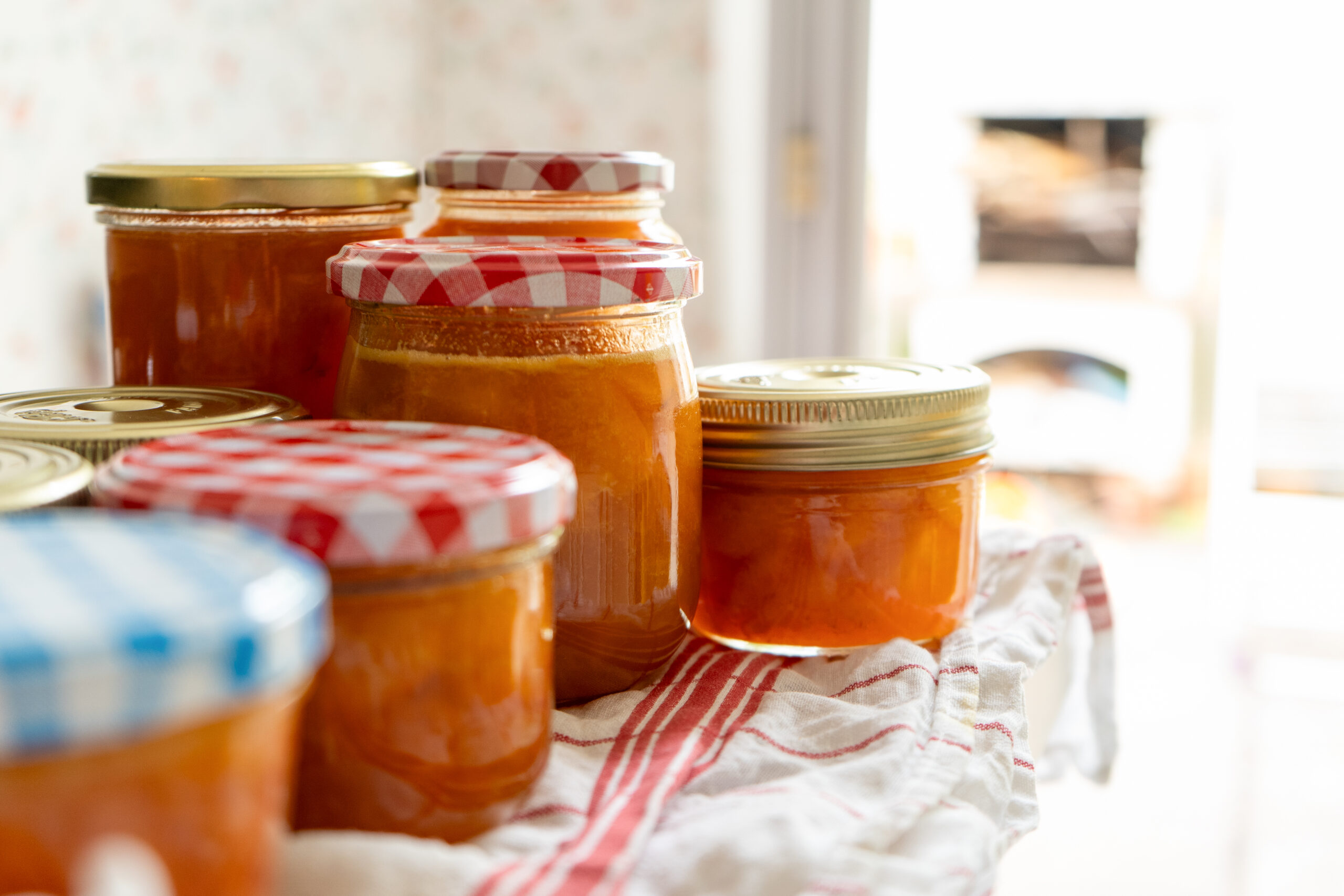 Aprikosenkonfitüre_1 Gläser mit selbstgemachter Marmelade und bunten Deckeln auf einem rot-weiß karierten Küchentuch.