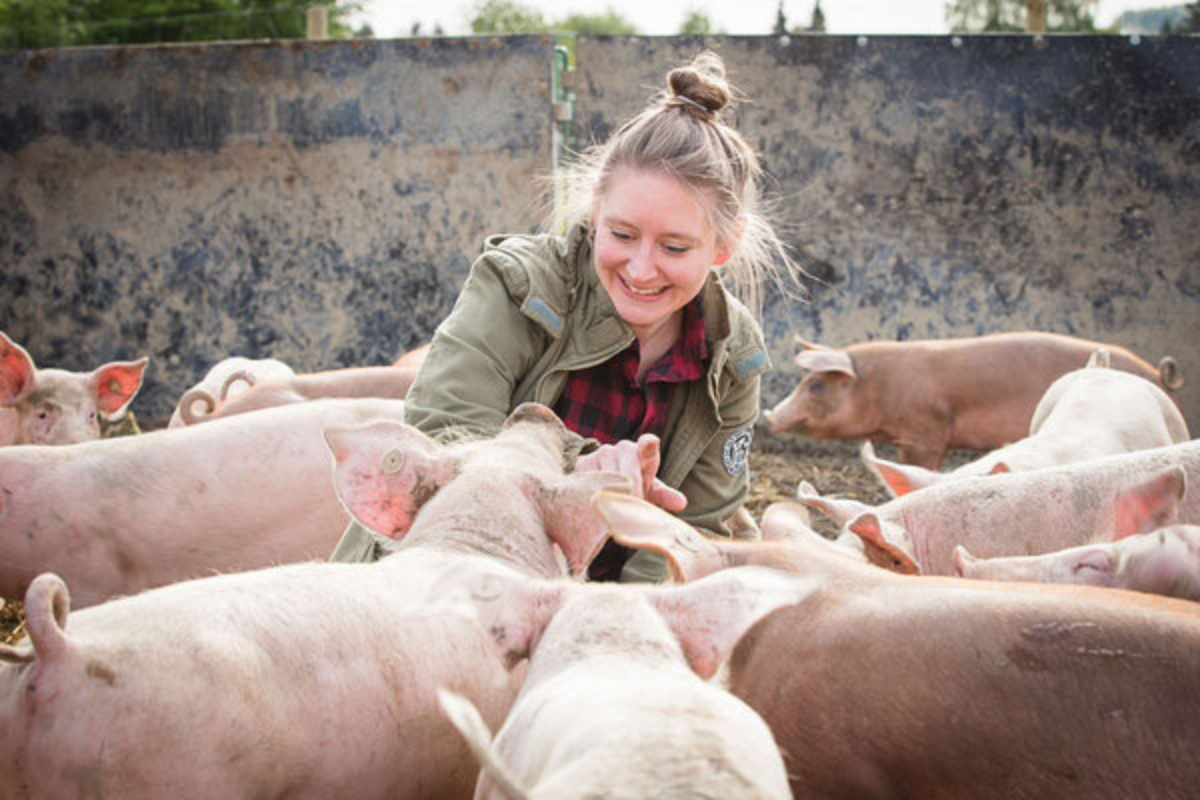 Frau in grüner Jacke streichelt und lacht mit Schweinen auf einem Bauernhof.